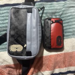Coach Bag And Crossbody Bag