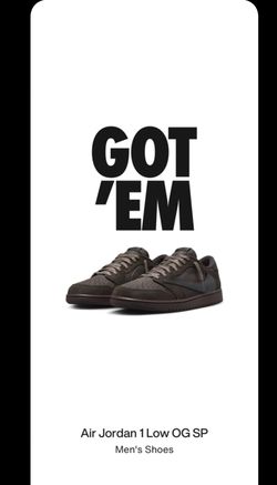 Travis Scott Low Velvet Brown