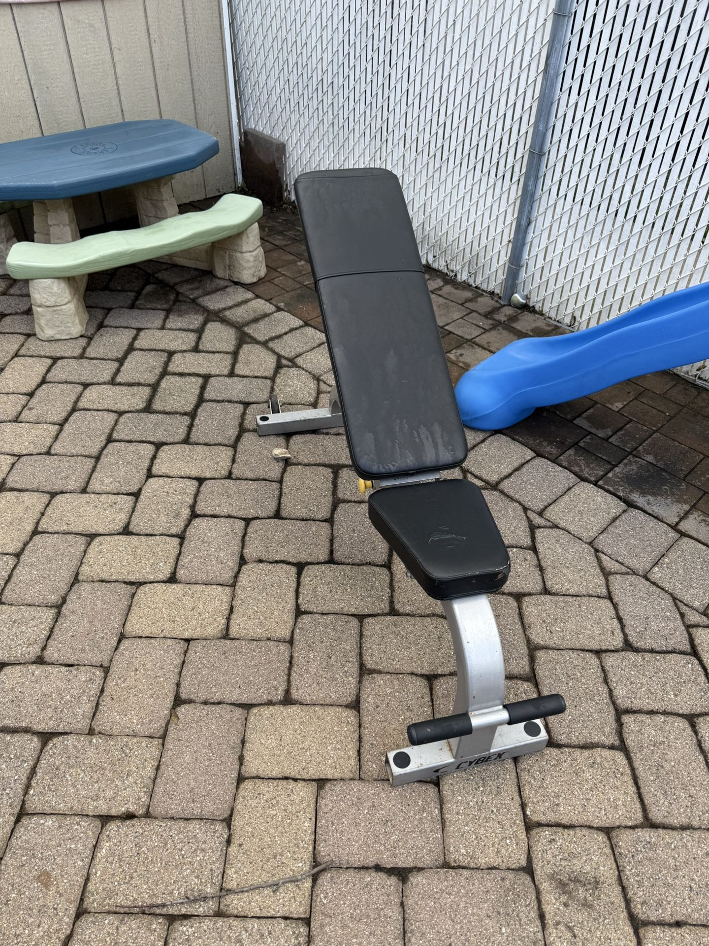 Workout Bench
