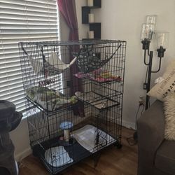 Cage For Cats 