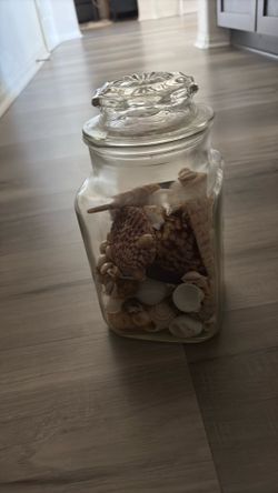 Jar of Seashells
