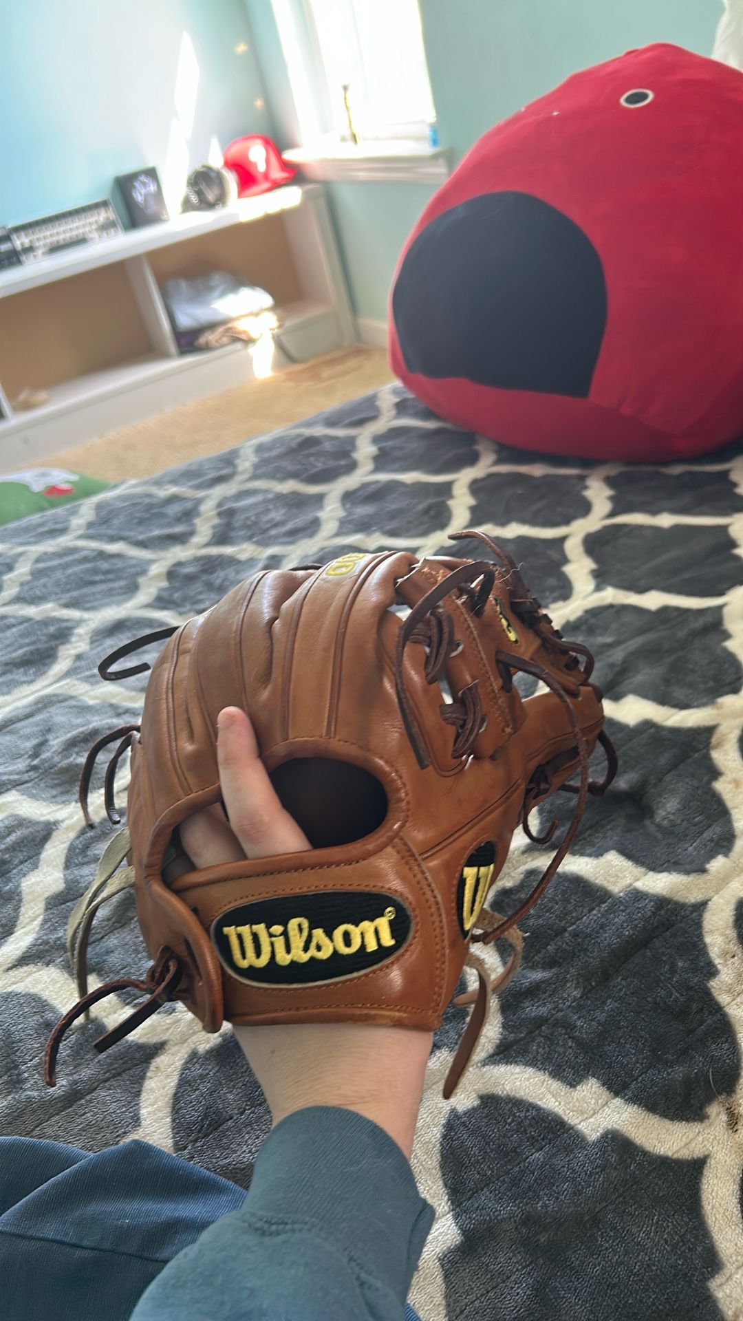 baseball Glove A2000 Dp15