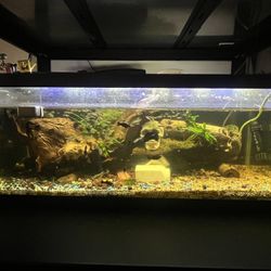 20 Aquarium 
