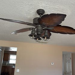 Ceiling Fan