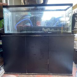 Fish Tank and Stand 