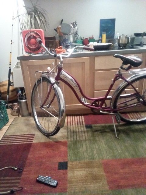 19 50 Schwinn Girls Girls Bike