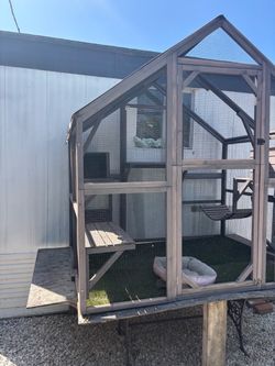 Catio