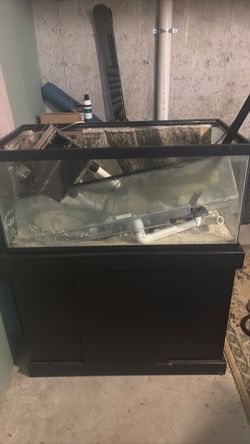 Fish Tank