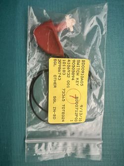 Switch Key (brand New)