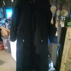 Lady's Coat Medium 