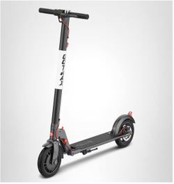 Go Trax Scooter