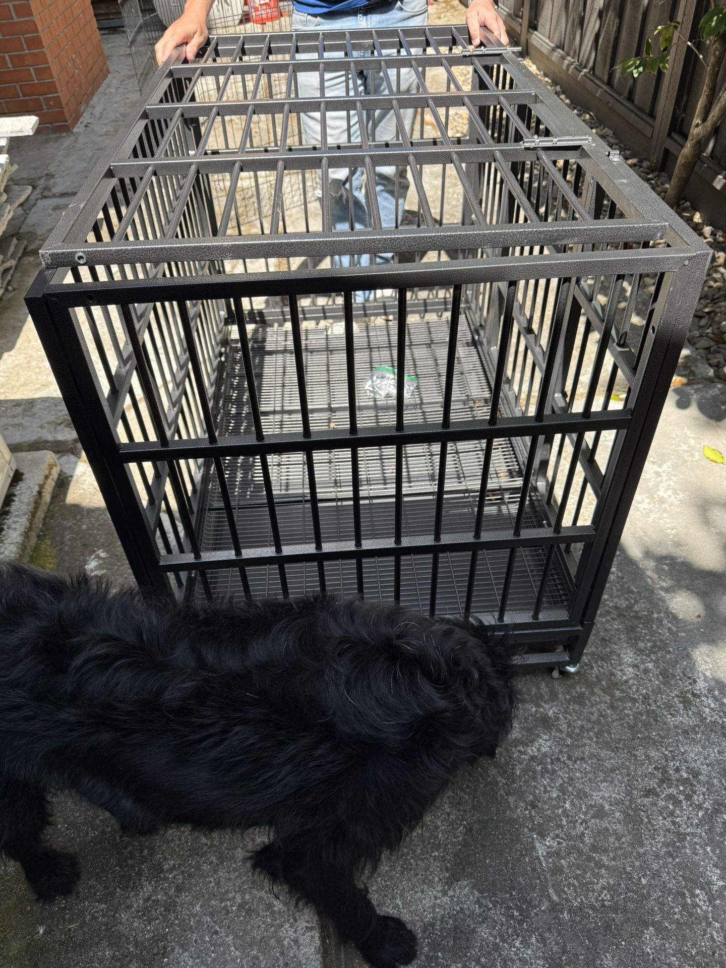 Dog Crate