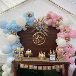 Gender Reveal Party Decor, Party Decoration 