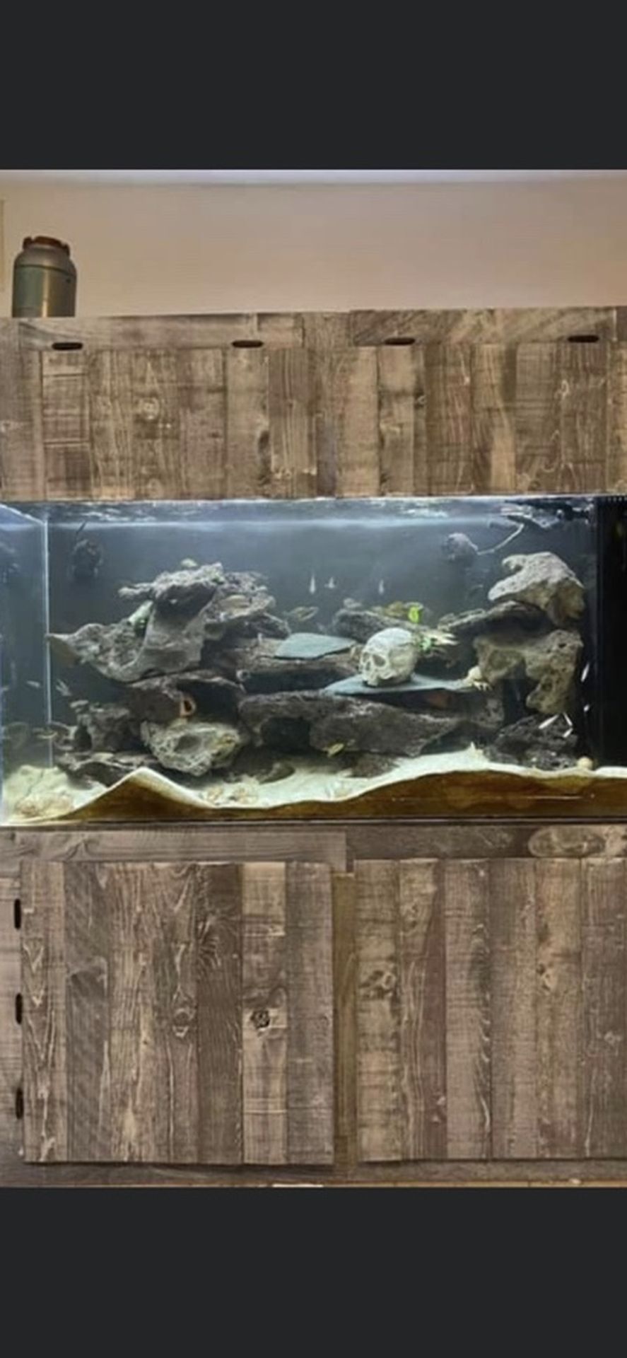 200 gallons Acrylic Fish Tank