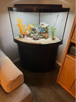 Fish aquarium 54 gallon