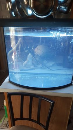 Fish Tank 36 gallon setup plus extras