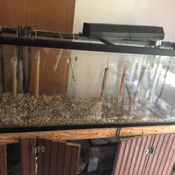 Fish Tank With Lights And Filter