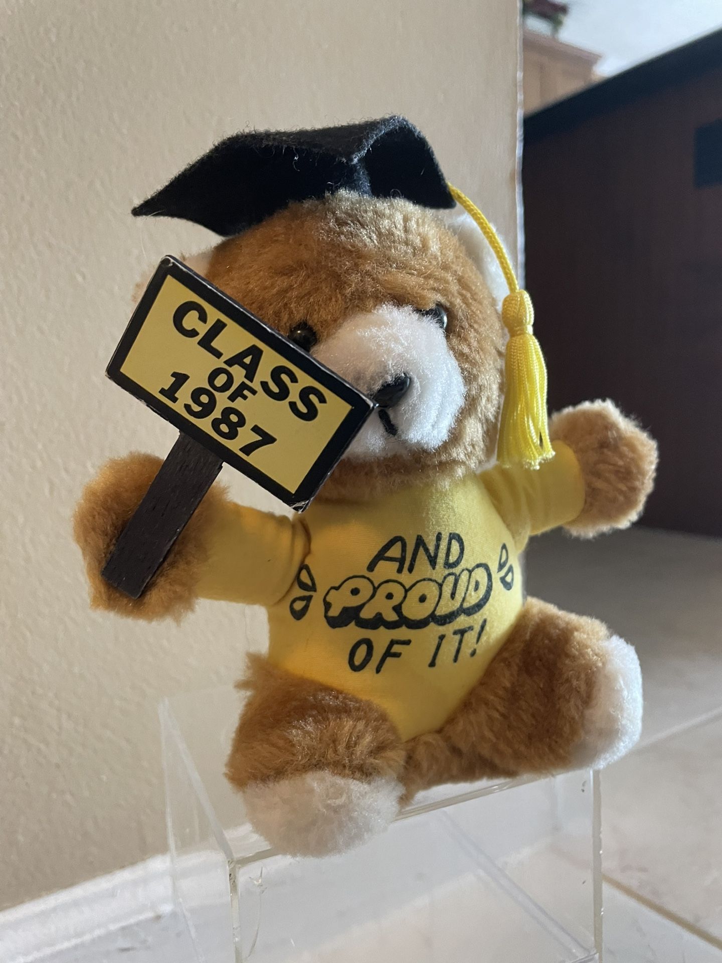 1987 graduation teddy bear 6 inches tall with case, adorable in Parkland