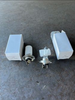 H7 12V 55W Halogen Bulbs