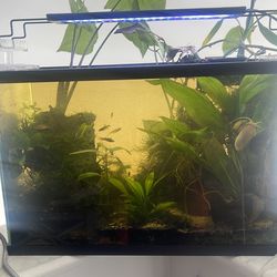 Fish tank comes with everything you see