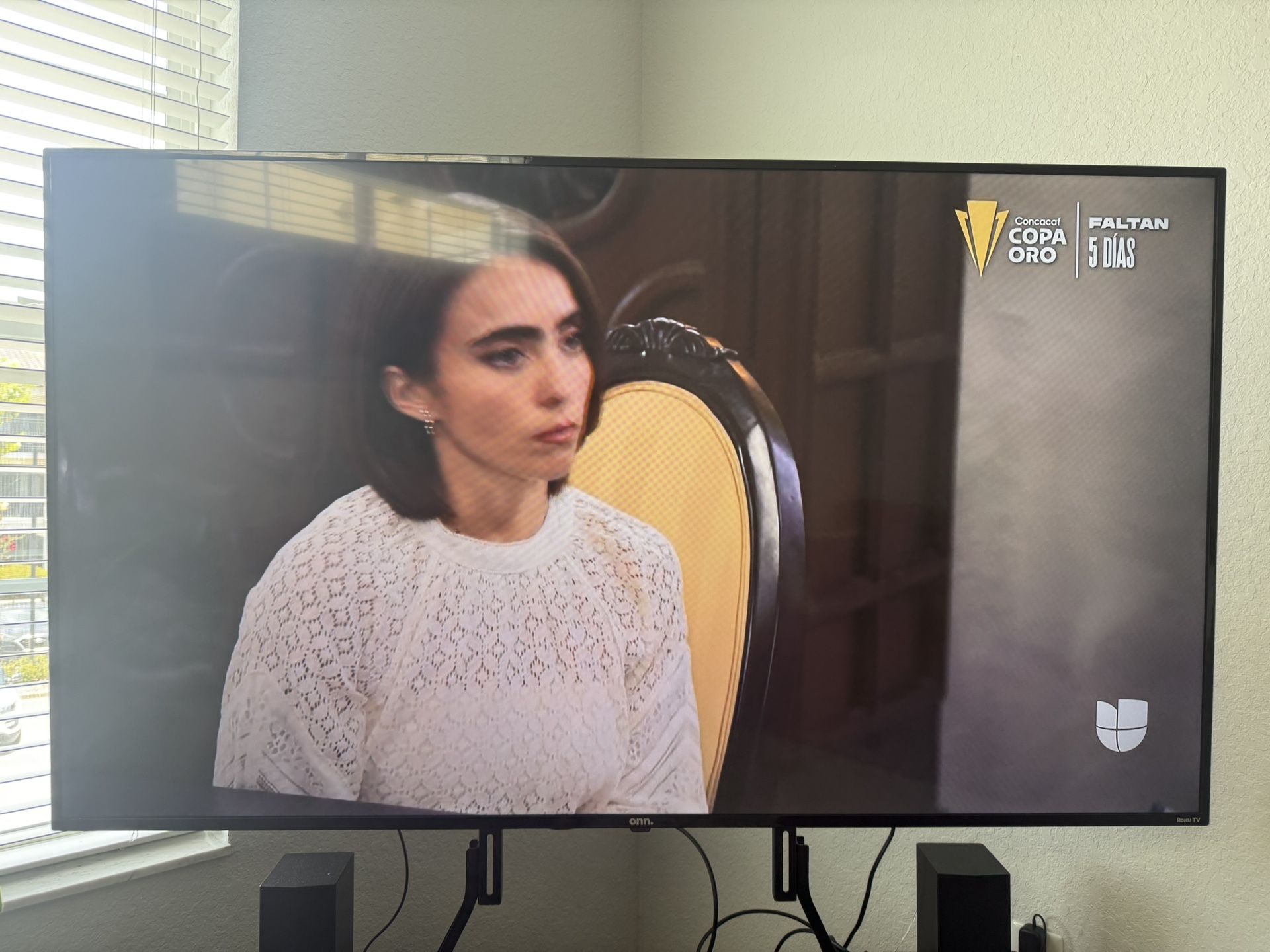 Tv 65” Roku