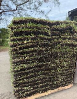 Always Fresh Sod