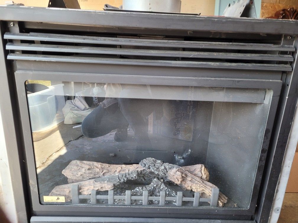 Gas Fireplace Insert