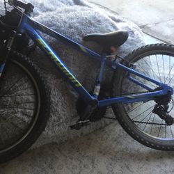 Mountain Bike(Suspension)