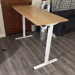 FlexiSpot Table Premium Standing Desk