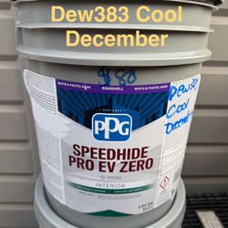 5 Gallon Paint 