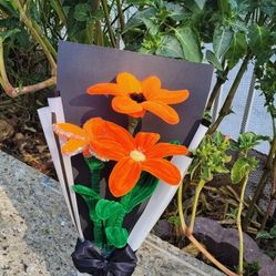 Beautiful Pipi Cleaner  Bouquet 