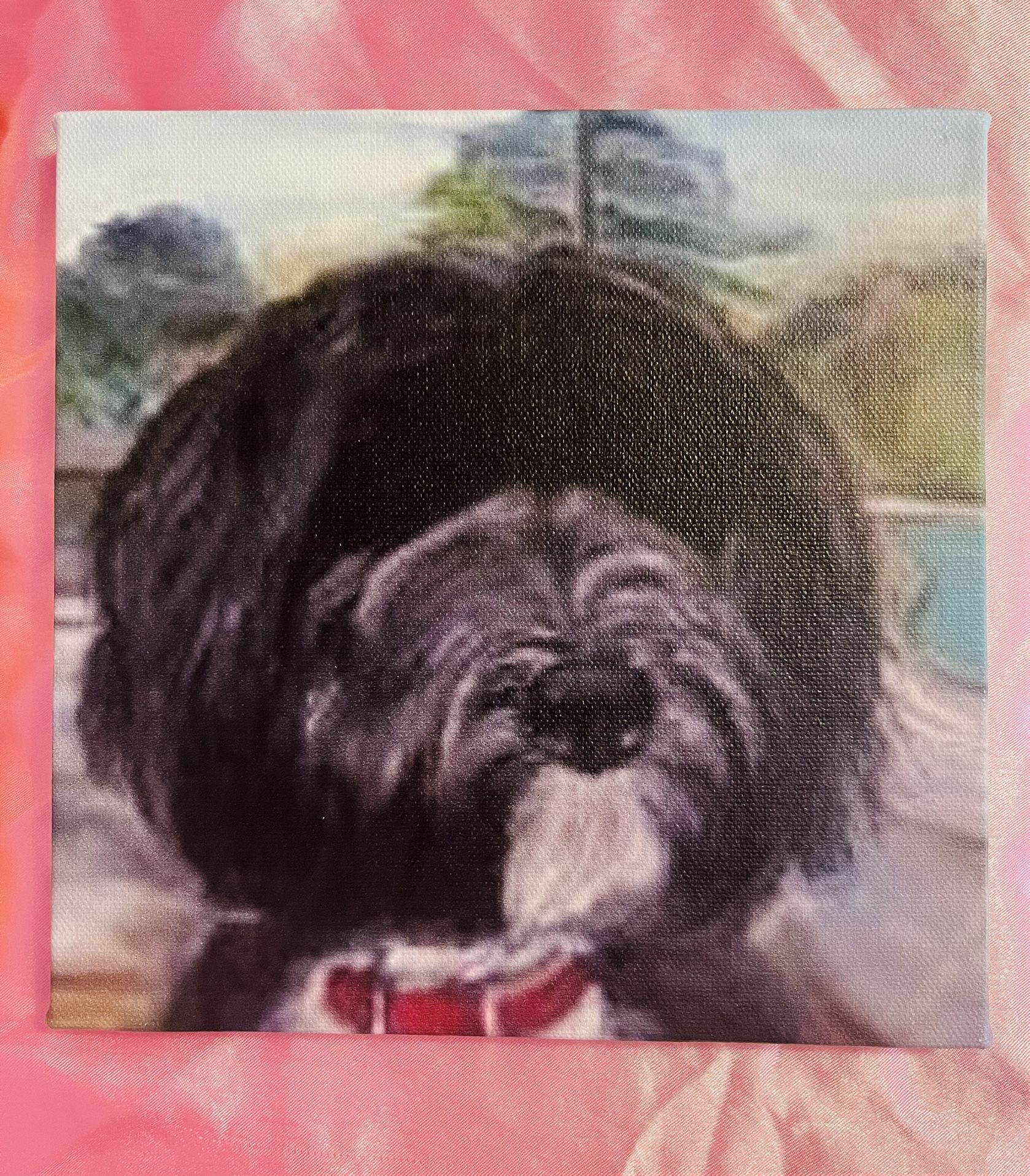 Custom Art Portrait Painting Of Pets 