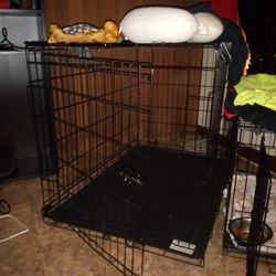 Xl Dog Kennel. New 