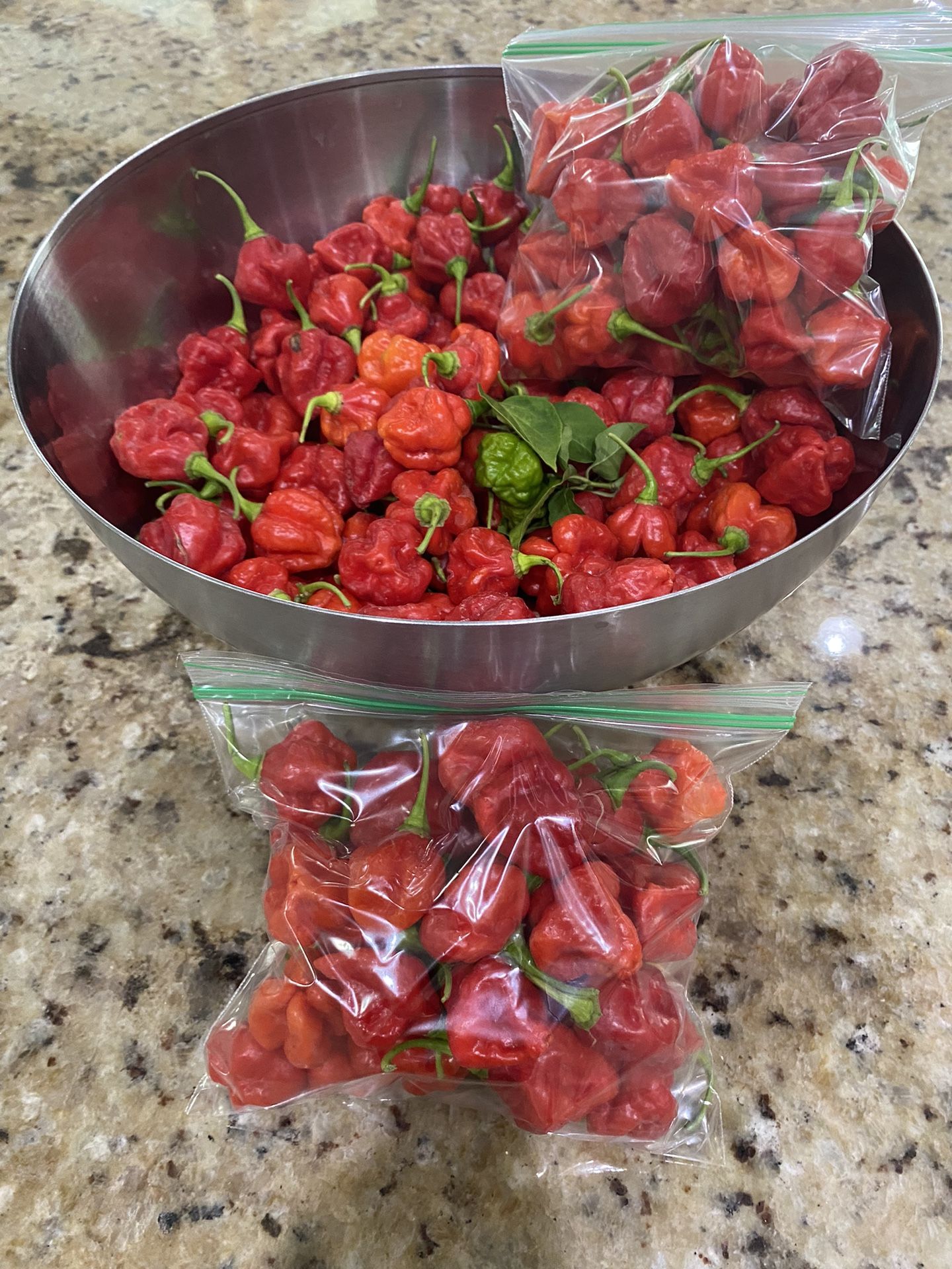 Aji Cachucha , Sweet Pepeer