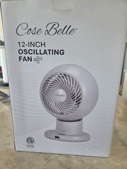 Fan