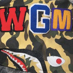 Bape Shark Hoodie 