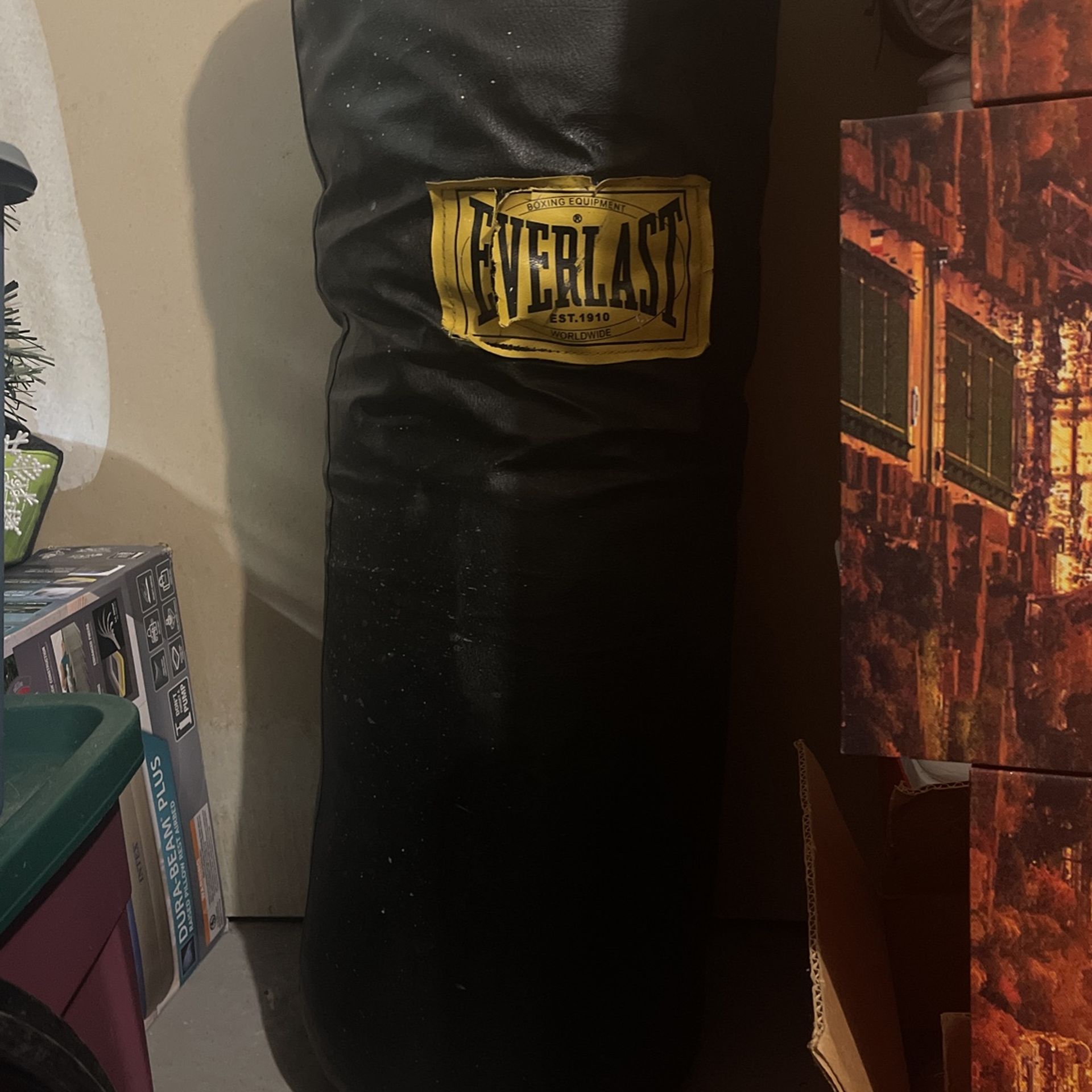 Everlast Boxing Punch Bag