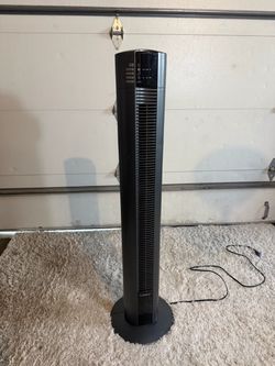 Black fan