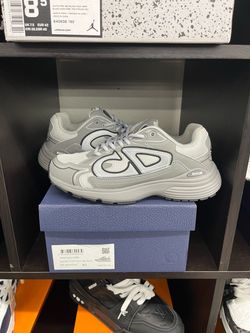 Dior B30 Grey