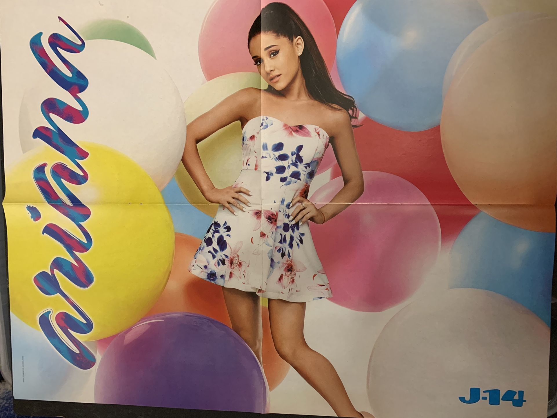 ARIANA GRANDE/NASH GRIER 16x20 Poster!