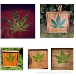 Wooden Trays And Boxes w/ Real Leafs
