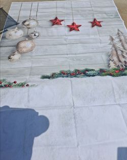 Winter Photo Backdrop