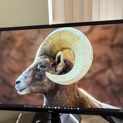 Computer Screen