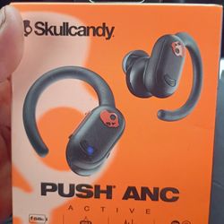 Skull Candy Earphones