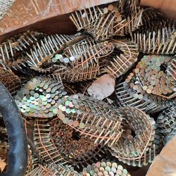 Caja de clavos para usar con pistola