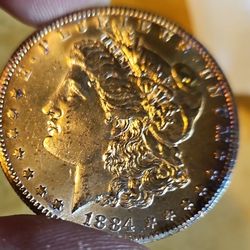 1884 Carson City Morgan  Silver Dollar Monster Toned 