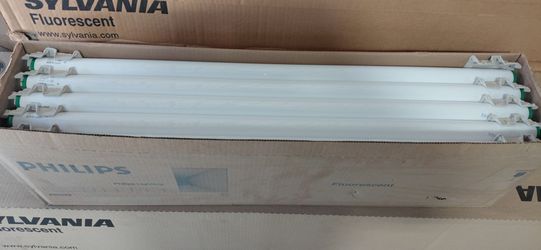Assorted Fluorescent Light Bulbs