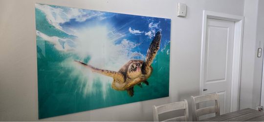 Sea Turtle acrylic artwork