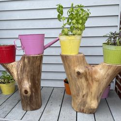 Log Plant Stand 