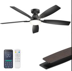 Ceiling fan